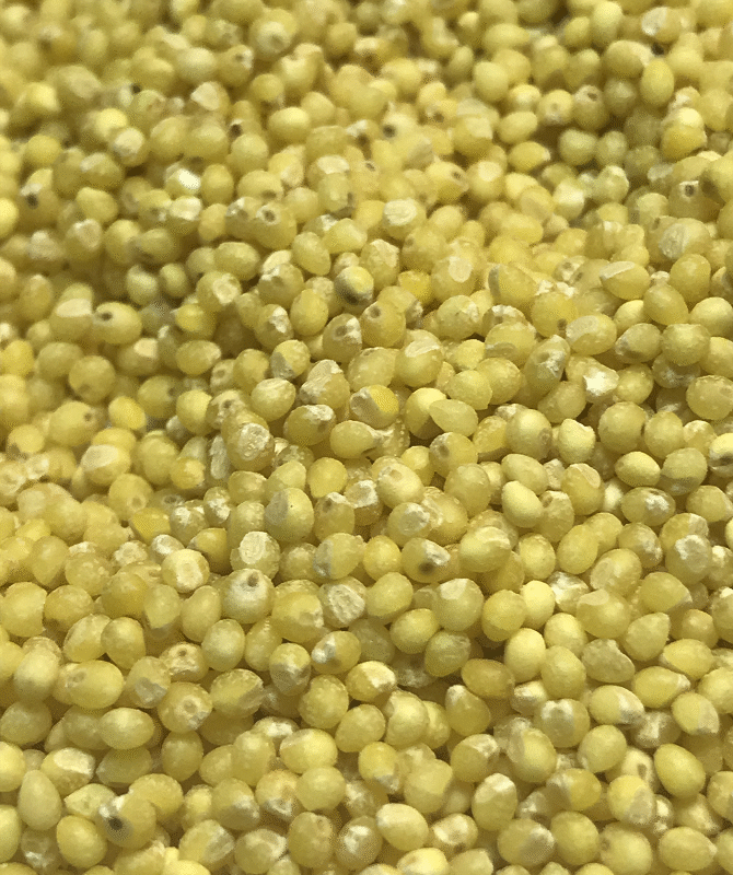 SEMILLAS DE MIJO PELADO ECOLOGICO