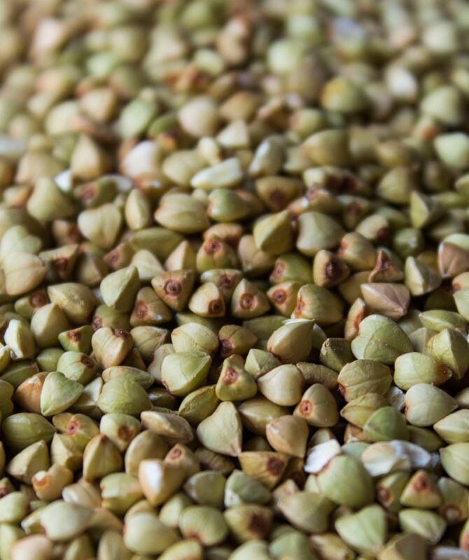 TRIGO SARRACENO ECOLOGICO