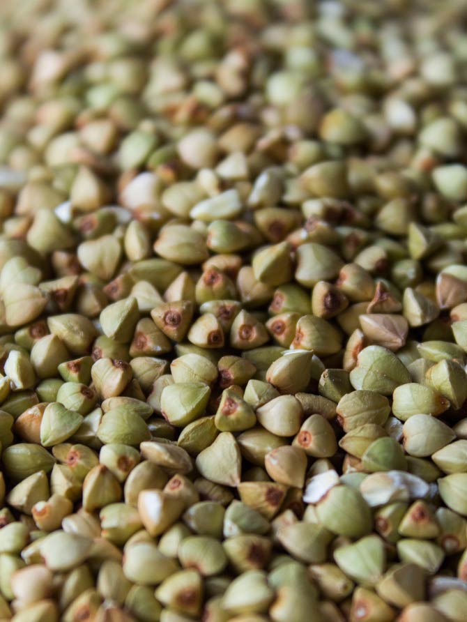 TRIGO SARRACENO ECOLOGICO